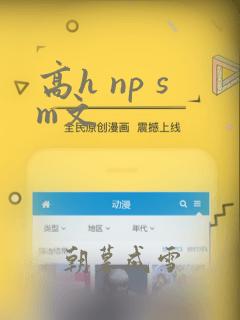 高h np sm文