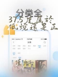 37,5度属于低烧还是正常发烧