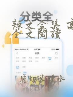 辣文合集 高h全文阅读