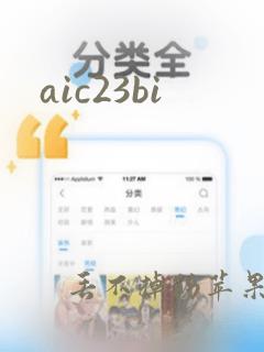 aic23bi