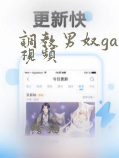 调教男奴gay视频