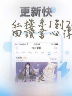 红楼梦1到20回读书心得