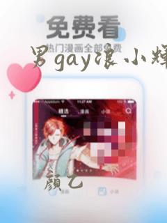 男gay浪小辉