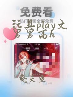 玩具play文男男高h