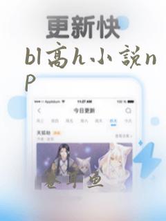 bl高h小说np