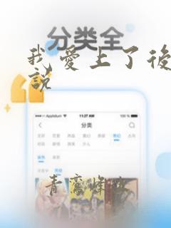 我爱上了后妈小说