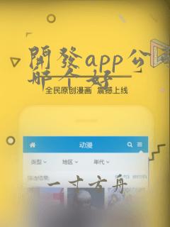 开发app公司哪个好