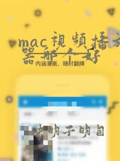 mac视频播放器哪个好