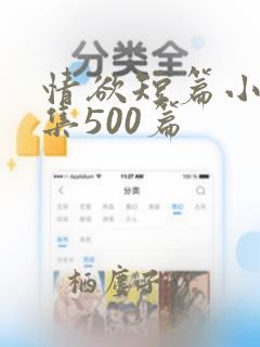 情欲短篇小说合集500篇