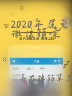 2020年属兔微信头像