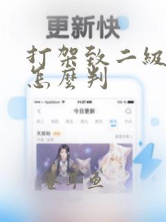 打架致二级轻伤怎么判