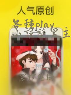 各种play 小说双男主