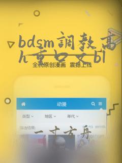 bdsm调教高h重口文bl