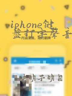 iphone键盘打字声音怎么变大