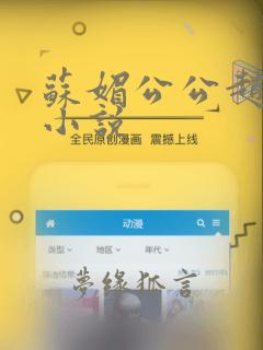 苏媚公公赵大宝小说