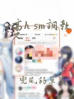 高h sm调教文