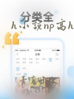 h小说np高h