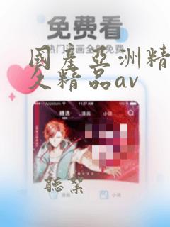 国产亚洲精品久久精品av