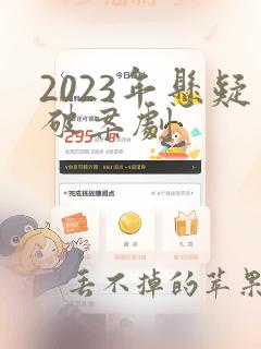 2023年悬疑破案剧