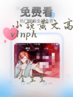 小说黄文高h1v1nph