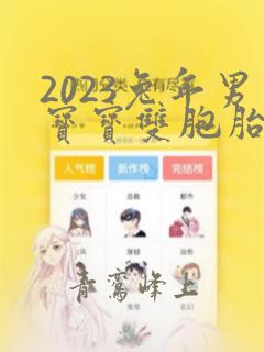 2023兔年男宝宝双胞胎取名