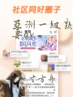 亚洲一级熟女人妻av