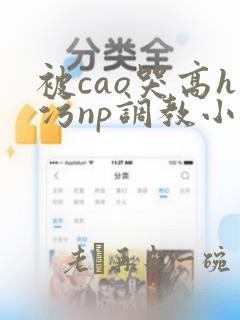 被cao哭高h污np调教小说