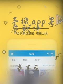 手机app是什么软件