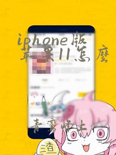 iphone版苹果11怎么多开微信