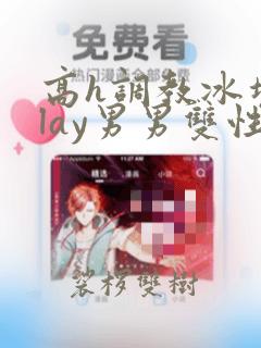 高h调教冰块play男男双性文