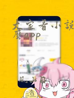 大家看小说用什么app