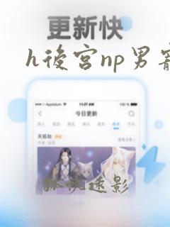 h后宫np男宠