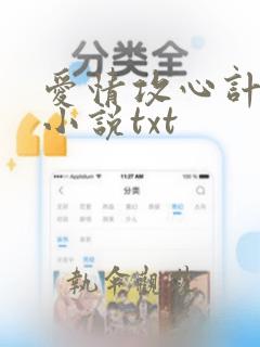 爱情攻心计泰剧小说txt