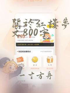 关于红楼梦的作文800字