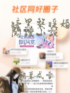 暗黑系暖婚全文阅读小说