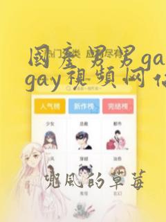 国产男男gaygay视频网站