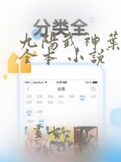 九阳武神叶云飞全本 小说