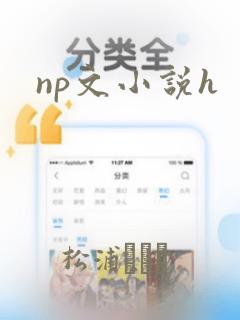 np文小说h