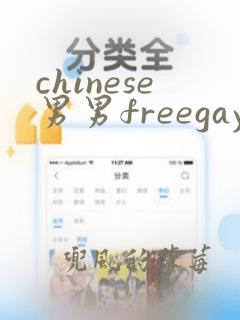 chinese男男freegay网站