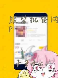 服装批发网app