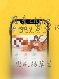 国产chinese gay男男网站