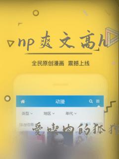 np爽文高h