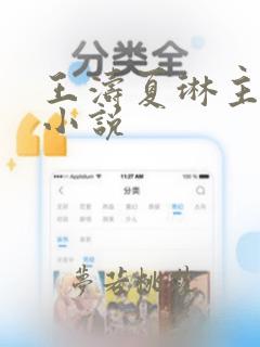 王涛夏琳主角的小说