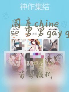 国产chinese 男男gay gay 网站