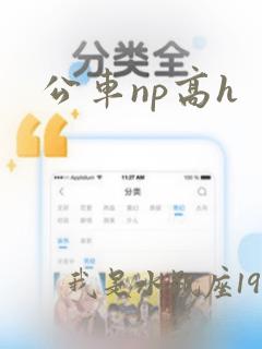 公车np高h