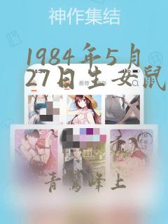 1984年5月27日生女鼠命运