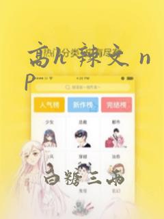 高h 辣文 np