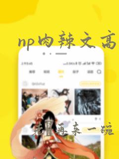 np肉辣文高h