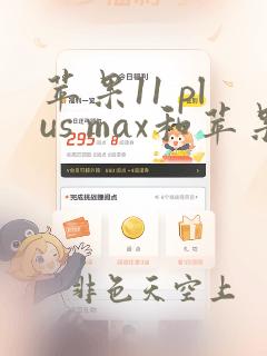 苹果11 plus max和苹果11 plus手机壳通用吗