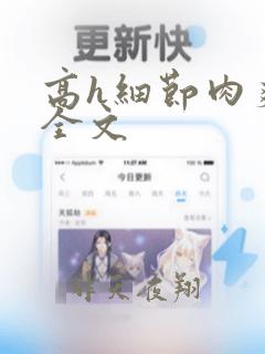 高h细节肉爽文全文